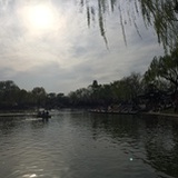jiaohuibo