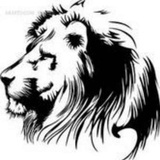 Djangocold