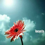 一半清澄的忧伤