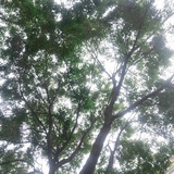 一个随意的昵称