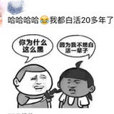 zhao笠跃