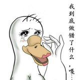 鱼恋水