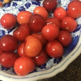 那小花