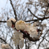 喝酒买醉