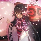 人参的旅程