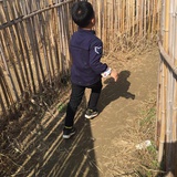 小小
