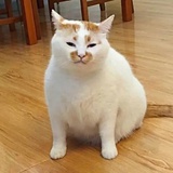 江湖偏子