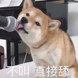 嘻嘻嘻嘻