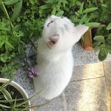 山而儿尔