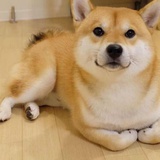 爱吃大西瓜