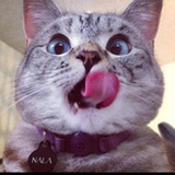 Luvoratorrrrry