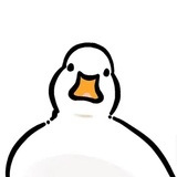 冯玉新