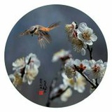 非飞飞飞飞
