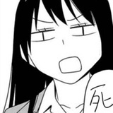 与猫