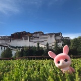 李憨憨
