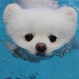 水木.