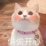 星漫