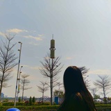 倏然