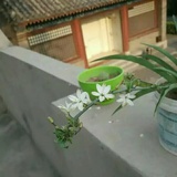 韩小仙