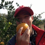 灰苍浓墨