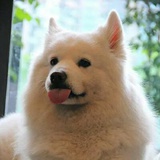 小小大大一一