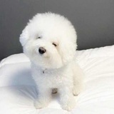 茹蓝