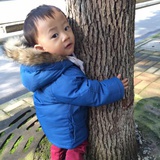 泰