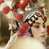 子妍在南方