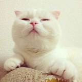 苏勇勇