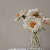 Ms.chen_77