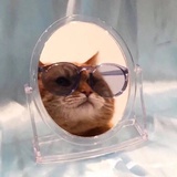 博桑的笔记