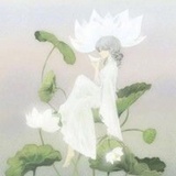 孔雀翊