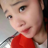 💓向日葵