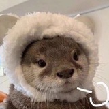 瓶砸帮帮忙