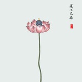 芊芊