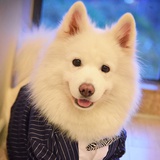 是阿翊呀