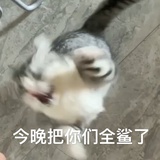 倩倩不吃肉肉