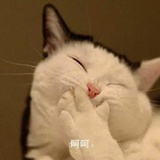 myself随记