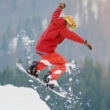 夜深凤竹敲秋韵