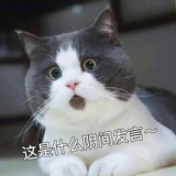 旺旺旺旺仔本人