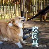 吹风基