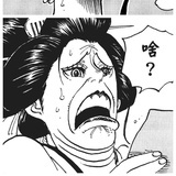 超级多肉