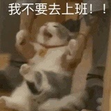 午夜心碎小熊
