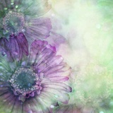 不亢不卑不骄不