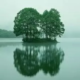 任西