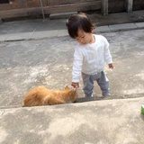 小蔡