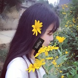 海藻