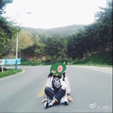 树上种了鹿