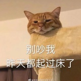 Dr.江湖骗子