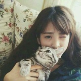 少女与猫ザ